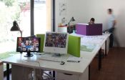 Auf einem Bürotisch aufgestellte Schallschirme., Grossansicht öffnen